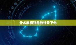 什么属相独来独往天下先，十二生肖里面什么动物是独来独往的