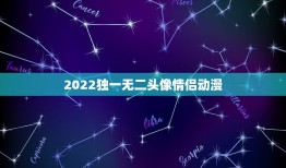 2022独一无二头像情侣动漫，2023独一无二情侣头像男女一人一半