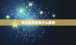 南方出灵码是什么属相，十二生肖有哪些属于南方的生肖？谢谢