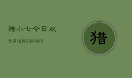 猎小七今日双子男运势(20240603)