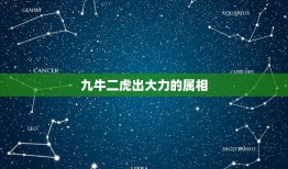 九牛二虎出大力的属相，九牛二虎之力十二生肖里是那个