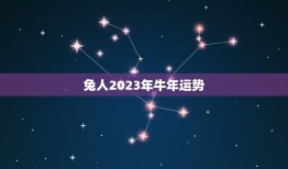 兔人2023年牛年运势(财运亨通事业顺利但需注意健康问题)