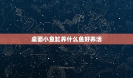 桌面小鱼缸养什么鱼好养活，小鱼缸养哪种类型的金鱼比较容易成活，比较好养