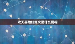 欢天喜地红红火是什么属相，金鸡报晓在三更，欢天喜地红红火，五代同堂实为