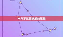 十八罗汉镇妖邪的属相，十八罗汉挂绳和黑曜石属相可以挂在脖子上吗？