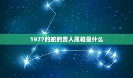 1977的蛇的贵人属相是什么，2023年属蛇人的全年运势