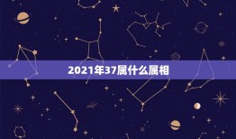 2021年37属什么属相，2021年30岁的人属什么生肖？