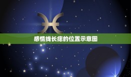 感情线长痣的位置示意图，手相感情线有痣说明什么？