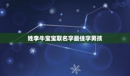 姓李牛宝宝取名字最佳字男孩，李姓最好听的男孩名字