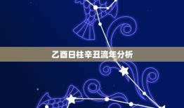 乙酉日柱辛丑流年分析(命格介绍与运势预测)