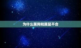 为什么属狗和属鼠不合(介绍星座配对的奥秘)