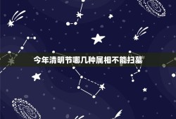 今年清明节哪几种属相不能扫墓，明天清明扫墓有什么生肖不吉利？