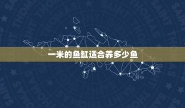 一米的鱼缸适合养多少鱼，1米的鱼缸 能养什么鱼？ 小型的话要多少条阿~