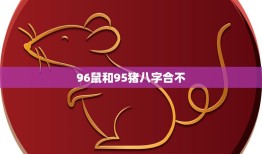 96鼠和95猪八字合不(如何看待这种姻缘)