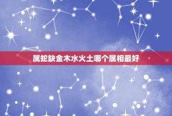 属蛇缺金木水火土哪个属相最好，1989年12月12日属蛇&#8217;。五行缺什么