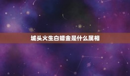 城头火生白蜡金是什么属相，白腊金命是什么意思