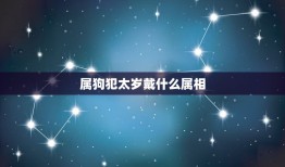 属狗犯太岁戴什么属相，属狗今年犯太岁配带什么好