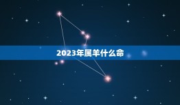 2023年属羊什么命(属羊人的运势如何)