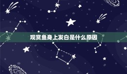 观赏鱼身上发白是什么原因，金鱼全身颜色变白是怎么回事？