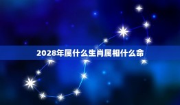 2028年属什么生肖属相什么命，十二生肖的各属于什么命