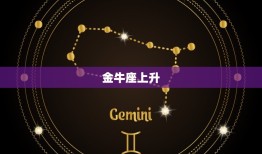 怎样看星座的上升星座(如何解读你的人际关系)