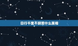 日行千里不辞苦什么属相，日行千里不辞苦打一肖？