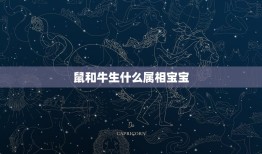 鼠和牛生什么属相宝宝，属猪和属牛生什么属相宝宝好