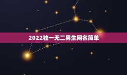 2022独一无二男生网名简单，2023独一无二微信网名伤感