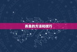 养鱼的方法和技巧，池塘养鱼技巧？