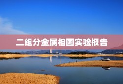 二组分金属相图实验报告，谁有“二组分气液平衡相图的测定实验报告”范文？