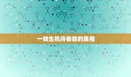 一线生机待春临的属相，一线生机待春临，猴王掌管输与羸。这句话代表什么？