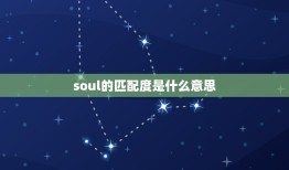 soul的匹配度是什么意思，Soul里面有几种匹配交友方式？