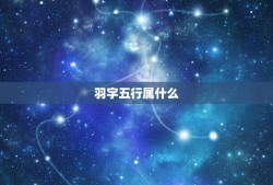 羽字五行属什么，羽字属金木水火土的哪一种？