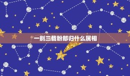 一别三载盼郎归什么属相，44期三四二五加一一，一别三载盼郎归是什么意思