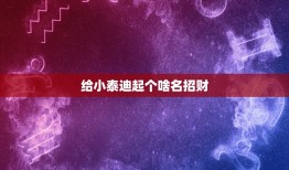 给小泰迪起个啥名招财，泰迪狗一般取什么名字比较好听