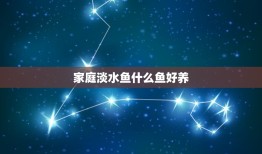 家庭淡水鱼什么鱼好养，家里水族箱养什么淡水鱼又好养又好看又不爱死