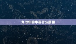 九七年的牛喜什么属相，1971年属猪的人今天运气好不好