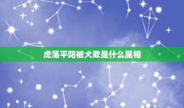 虎落平阳被犬欺是什么属相，虎落平阳被犬欺啥生肖