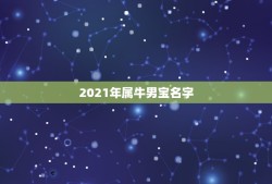 2021年属牛男宝名字，2021年属牛的男孩叫什么名字