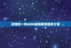 买保险一年6000退保能拿回多少钱，我的平安福一年交6000元，交了一