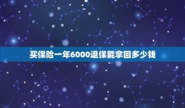 买保险一年6000退保能拿回多少钱，我的平安福一年交6000元，交了一