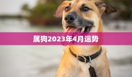 属狗2023年4月运势(事业顺利财运亨通)