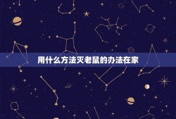 用什么方法灭老鼠的办法在家(家庭灭鼠攻略大介绍)