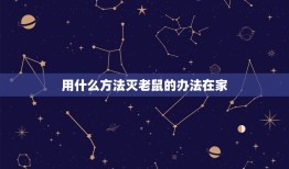 用什么方法灭老鼠的办法在家(家庭灭鼠攻略大介绍)