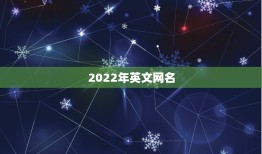 2022年英文网名，2022最新网名