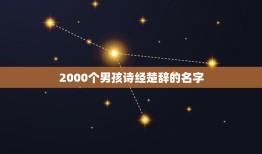 2000个男孩诗经楚辞的名字，求出自诗经或楚辞的男孩名字