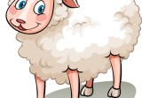 79年腊月女羊是什么命(解析命运多舛还是贵人相助)