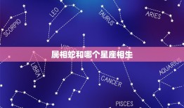 属相蛇和哪个星座相生，属蛇摩羯座和什么生肖星座最配