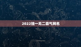 2022独一无二霸气网名，2023独一无二霸气网名女