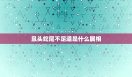 鼠头蛇尾不足道是什么属相，鼠头蛇尾不足道，三头两尾却为奇，猜十二生肖